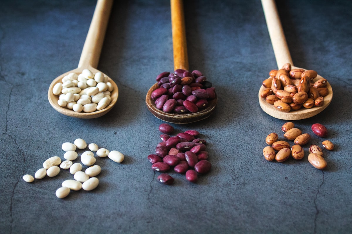 Panduan komprehensif nutrisi untuk vegetarian